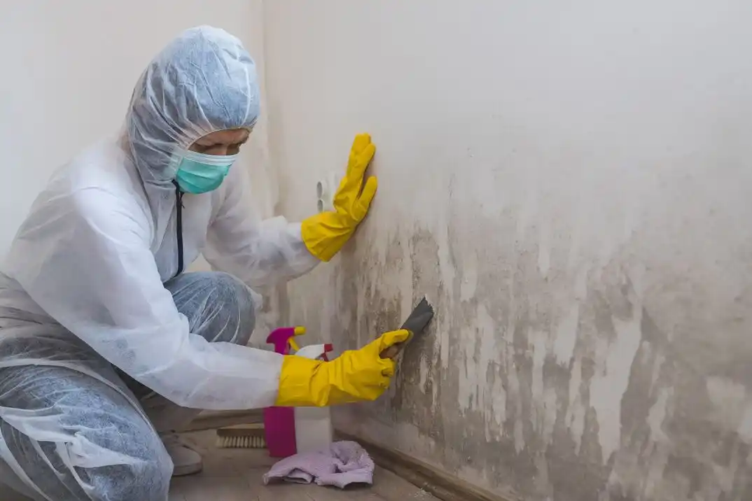 water damage restoration service Pecan Ridge